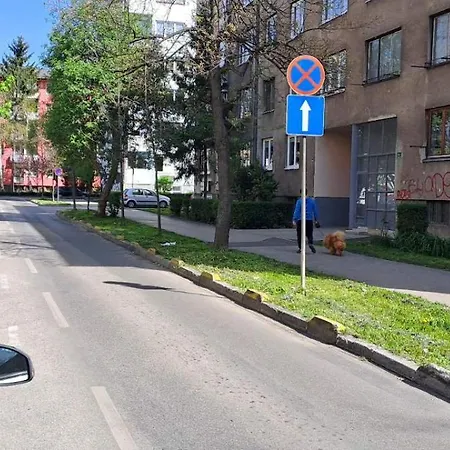 Wils * سراييفو